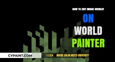 Mastering Image Overlay Editing in World Painter: A Step-by-Step Guide