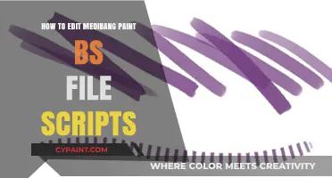 Mastering Medibang Paint: Editing BS File Scripts Made Easy