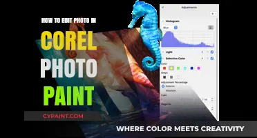 Mastering Corel Photo-Paint: Essential Photo Editing Techniques for Beginners