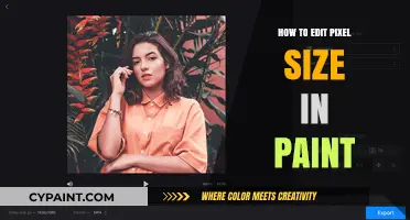 Mastering Paint: Simple Steps to Adjust Pixel Size Effectively