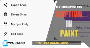 Edit Snapchat Story Captions Easily Using Paint: A Quick Guide