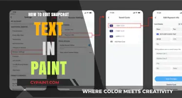 Master Snapchat Text Editing: A Simple Paint Tutorial Guide