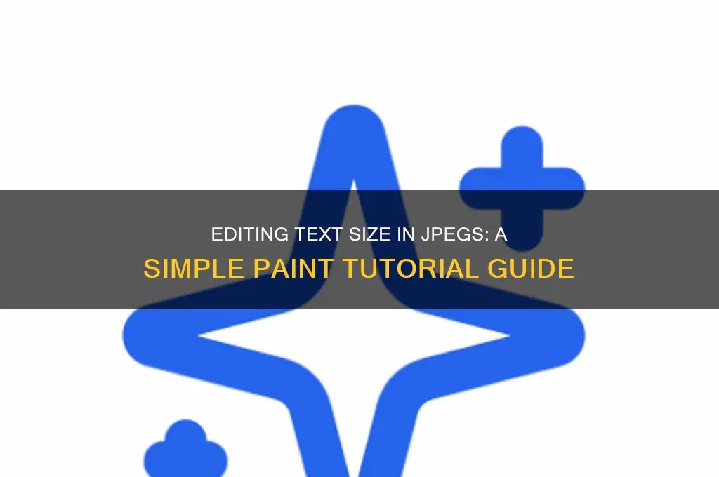 how to edit text size of a jpeg in paint