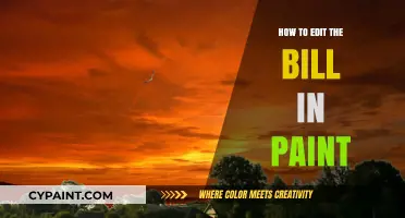 Mastering Bill Editing: A Step-by-Step Guide Using Paint Tools