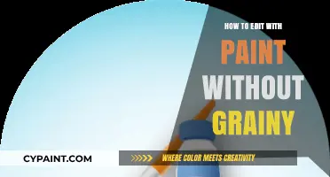 Smooth Edits: Tips to Avoid Grainy Results in Paint