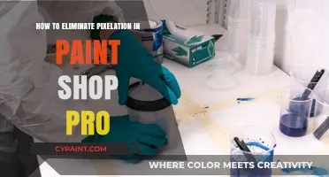Eliminate Pixelation in PaintShop Pro: Expert Tips for Smooth Images