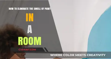 Quick Tips to Remove Paint Odor from Your Room Fast