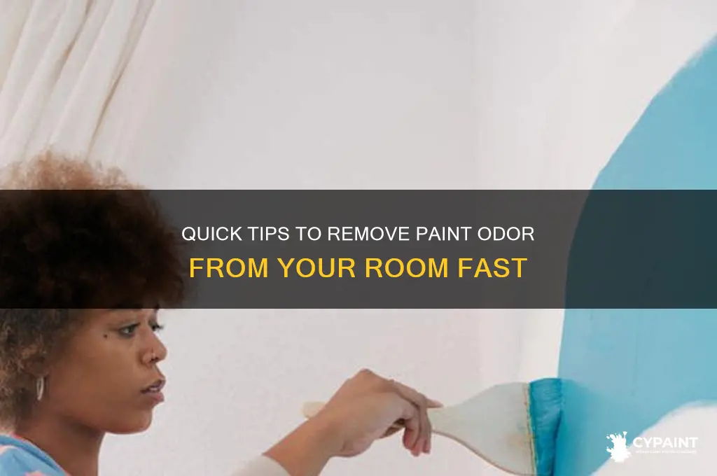 how to eliminate the smell of paint in a room