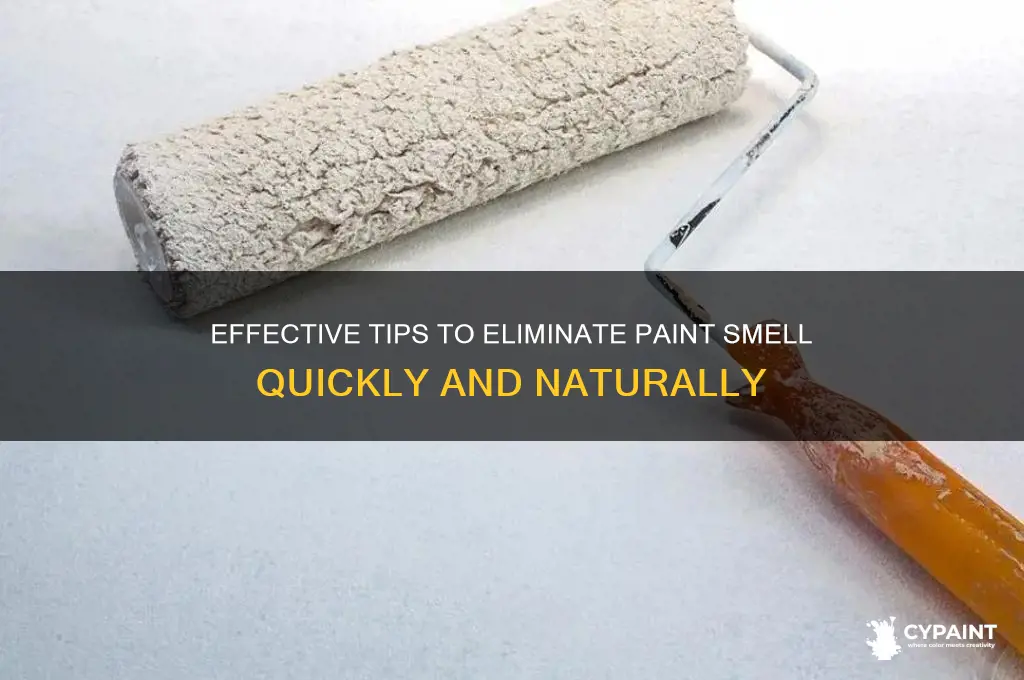 how to eliminate the smell of paint