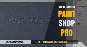 Master Embossing Techniques in Paint Shop Pro: A Step-by-Step Guide