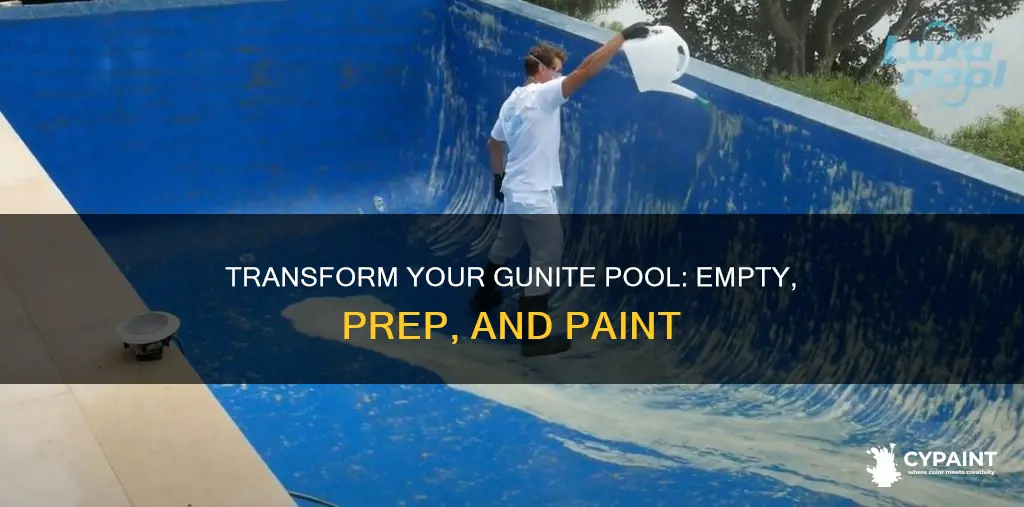 how to empty and paint your inground gunite pool