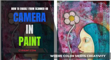 Unlock Paint's Scanner and Camera Features