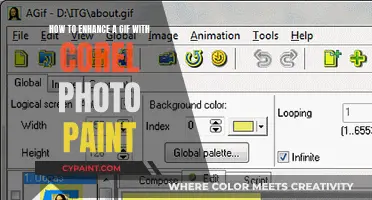 Enhancing GIFs: Corel Photo-Paint's Ultimate Guide
