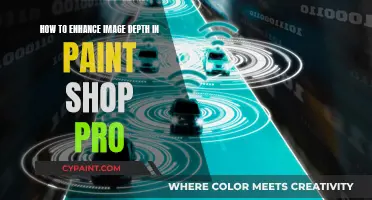 Enhancing Image Depth: Paint Shop Pro Techniques