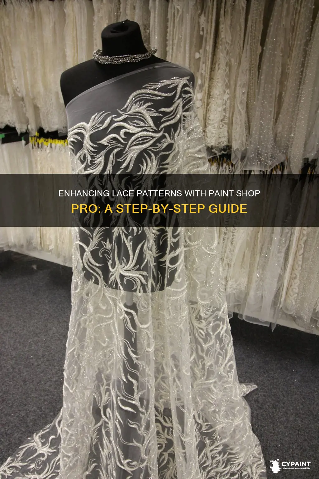 how to enhance lace pattern in paint shop pro