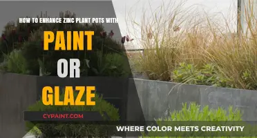 Creative Ways to Beautify Zinc Plant Pots with Paint or Glaze