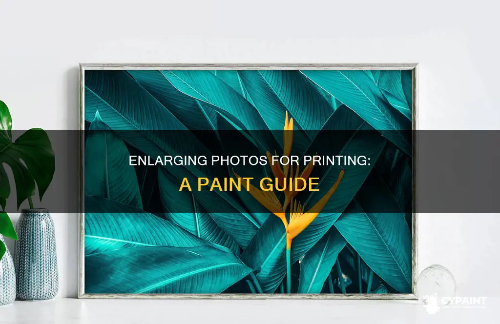 how to enlarge a photo to print in paint