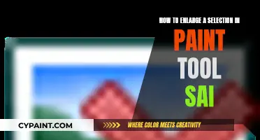 Enlarging Your Selection in Paint Tool Sai: A Simple Guide