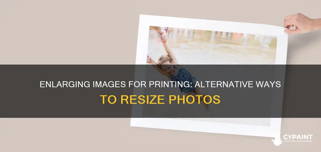 how to enlarge an image before printing without paint