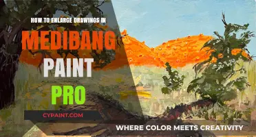 Master Medibang Paint Pro: Easy Steps to Enlarge Your Drawings