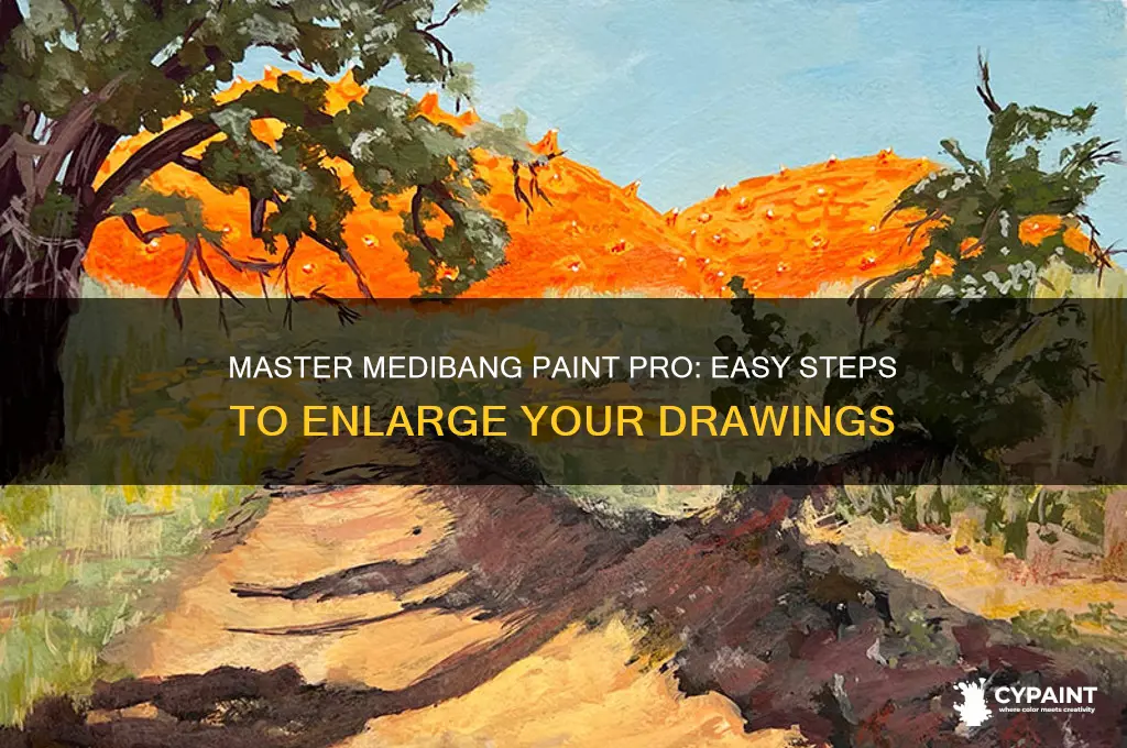 how to enlarge drawings in medibang paint pro