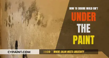 Preventing Mold Under Paint: What You Need to Know