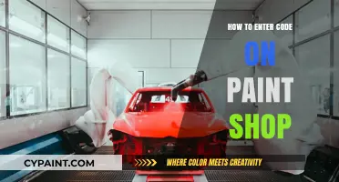 Mastering Paint Shop: A Step-by-Step Guide to Entering Codes Easily