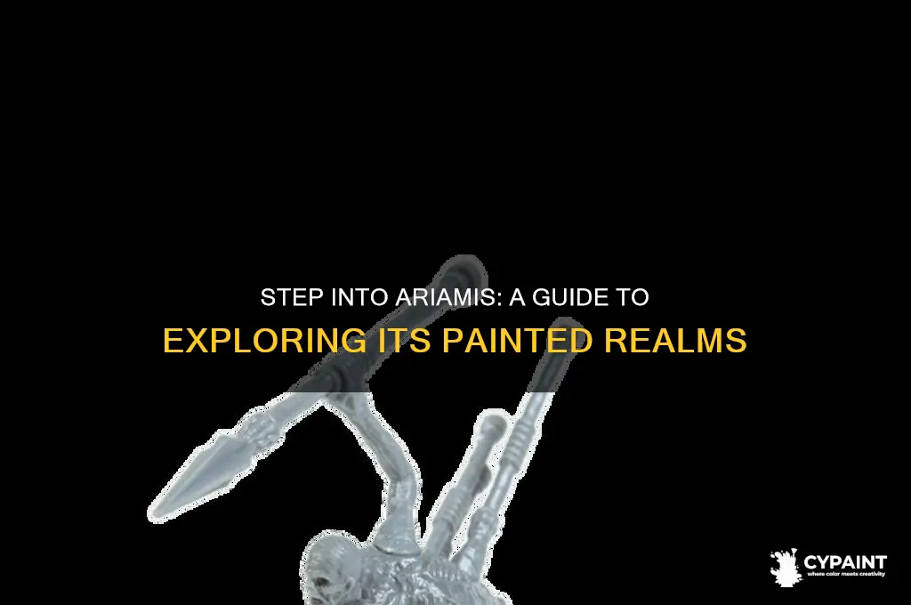 how to enter the painted world of ariamis
