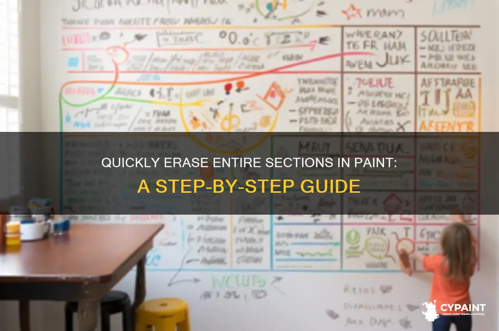 how to erase an entire section in paint