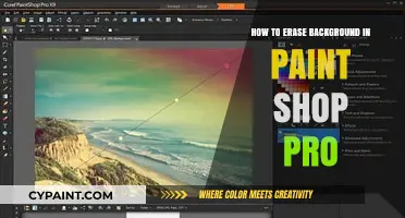 Mastering Background Removal in PaintShop Pro: A Step-by-Step Guide