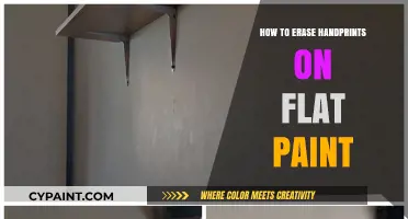 Effective Techniques to Remove Handprints from Flat Paint Surfaces