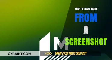 Quickly Remove Paint from Screenshots: Easy Step-by-Step Guide