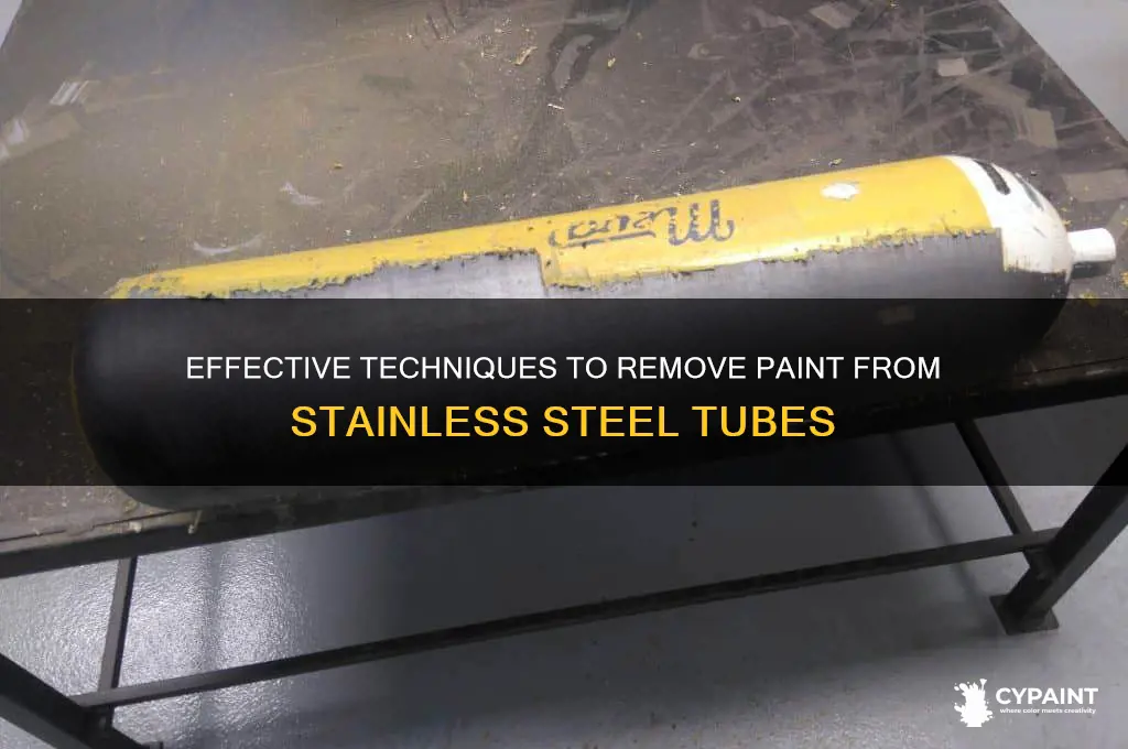 how to erase paint on stainless tubes