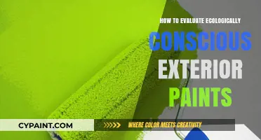 Choosing Eco-Friendly Exterior Paints: A Comprehensive Evaluation Guide