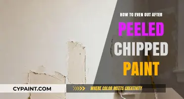 Smooth Finish: Repairing and Evening Out Peeled Chipped Paint Surfaces