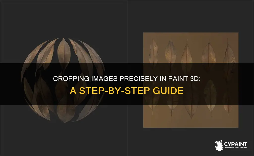 how to exactly crop an image in paint 3d