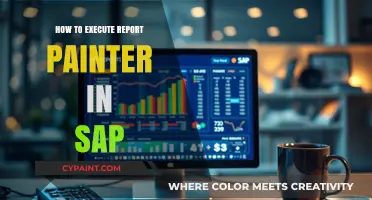 Mastering SAP Report Painter: Step-by-Step Execution Guide
