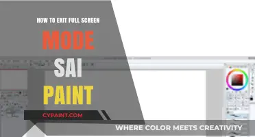Quick Guide: Exiting Full Screen Mode in SAI Paint Tool