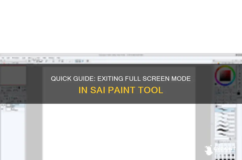 how to exit full screen mode sai paint
