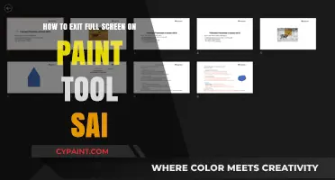 Exiting Full Screen on Paint Tool SAI: A Quick Guide