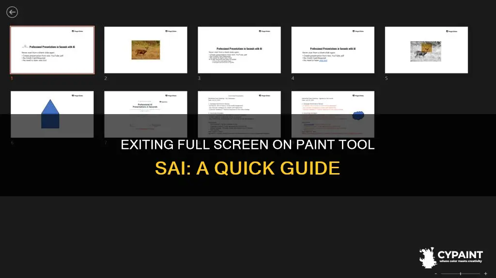 how to exit full screen on paint tool sai
