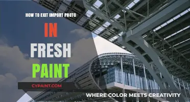 Mastering Fresh Paint: A Guide to Exiting Photo Import Mode