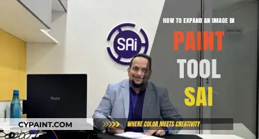 Expanding Images in Paint Tool Sai: A Simple Guide