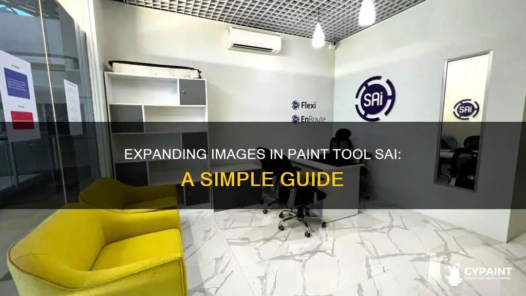 how to expand an image in paint tool sai