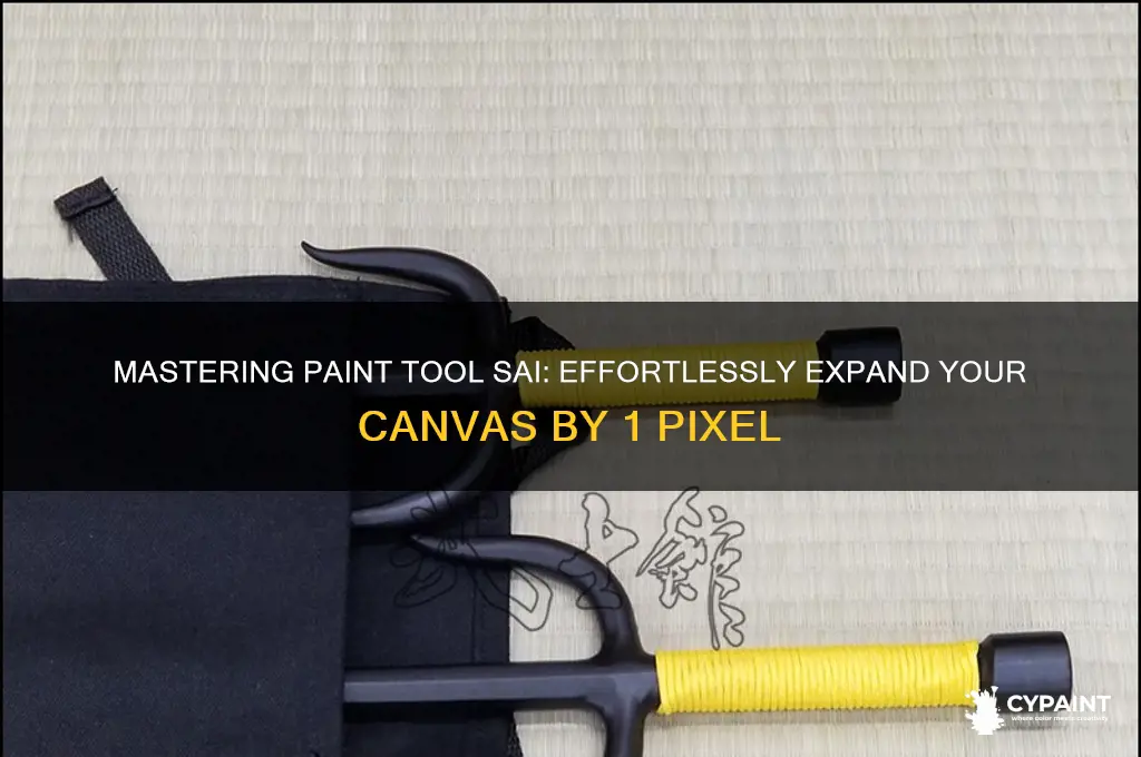 how to expand by 1 pixel in paint tool sai