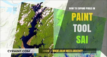 Mastering Pixel Expansion in Paint Tool SAI: A Step-by-Step Guide