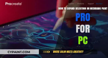 Master Medibang Paint Pro: Expand Selection Tool Tips for PC Users