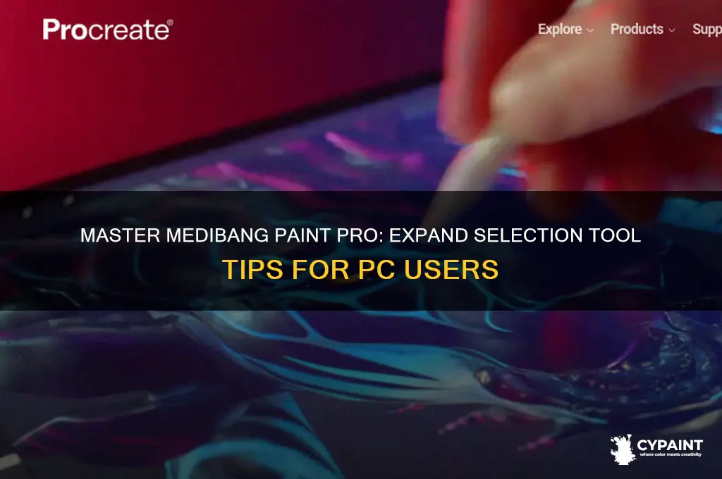 how to expand selection on medibang paint pro for pc