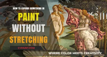 Preserve Proportions: Expanding Objects in Paint Without Distortion