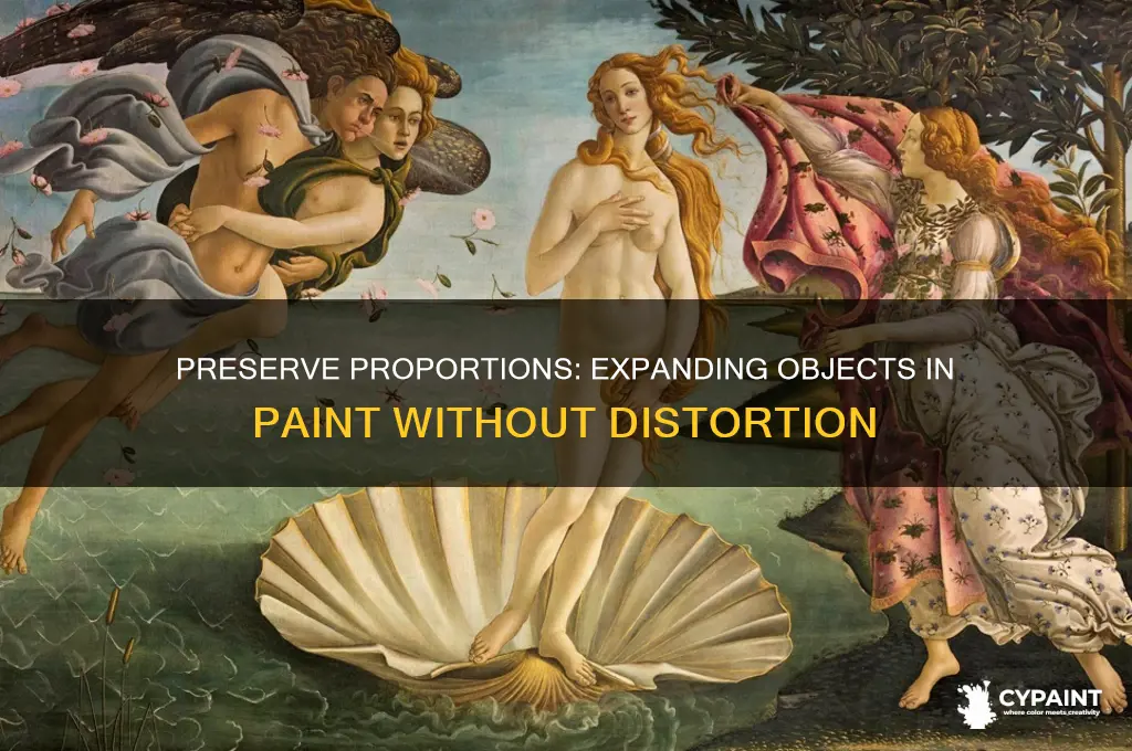 how to expand something in paint without stretching